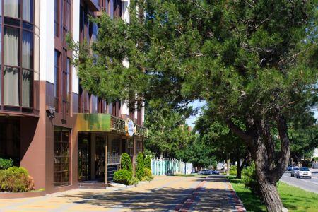 Внешний вид